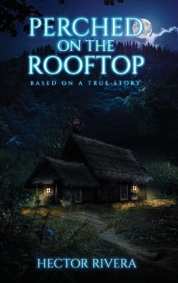 Book cover for Perched On The Rooftop