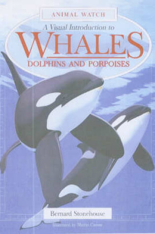 Cover of A Visual Introduction to Whales