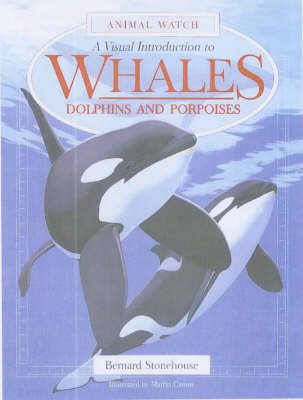 Book cover for A Visual Introduction to Whales