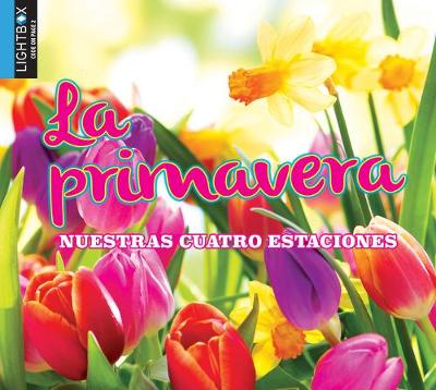 Book cover for La Primavera