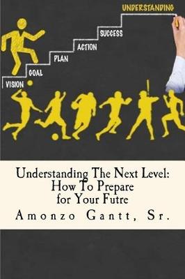 Book cover for Understanding the Next Level