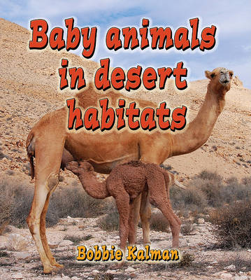 Book cover for Baby Animals in Desert Habitats