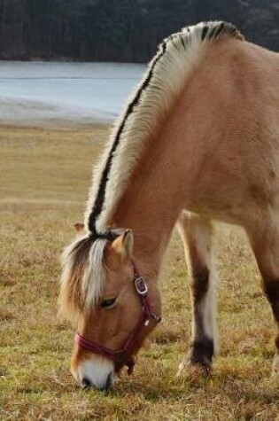 Cover of Norwegian Fjord Horse at Pasture Journal