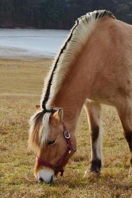 Book cover for Norwegian Fjord Horse at Pasture Journal