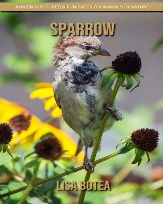 Book cover for Sparrow