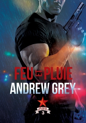 Book cover for Feu et pluie