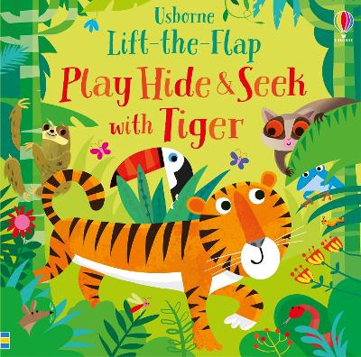 Book cover for Play Hide and Seek with Tiger