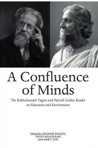 Cover of Confluence of Minds
