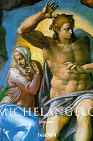 Cover of Michelangelo Basic Art