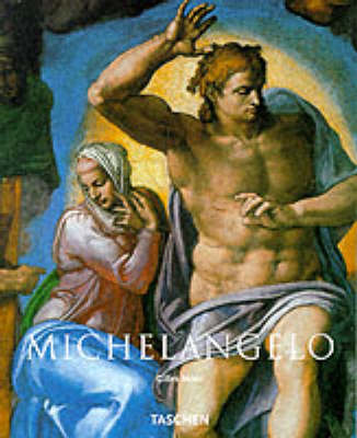 Book cover for Michelangelo Basic Art