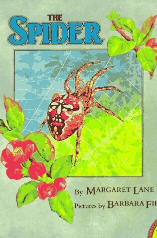 Cover of The Spider