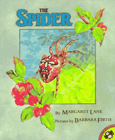 Book cover for The Spider