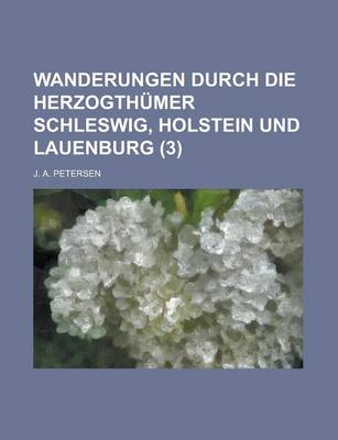 Book cover for Wanderungen Durch Die Herzogthumer Schleswig, Holstein Und Lauenburg (3)
