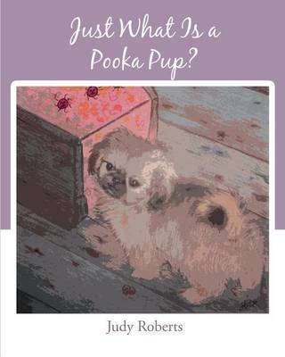 Book cover for Just What Is a Pooka Pup?