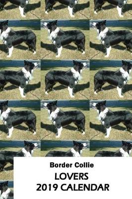 Book cover for Border Collie Lovers 2019 Calendar