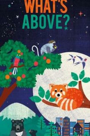 Cover of What's Above?