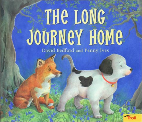 Book cover for Long Journey Home