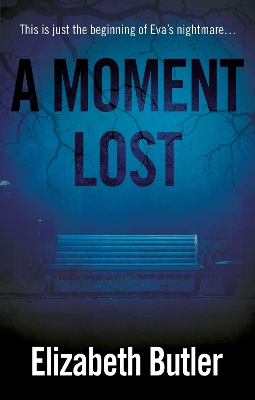 Book cover for A Moment Lost