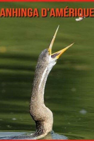 Cover of Anhinga d'Amérique