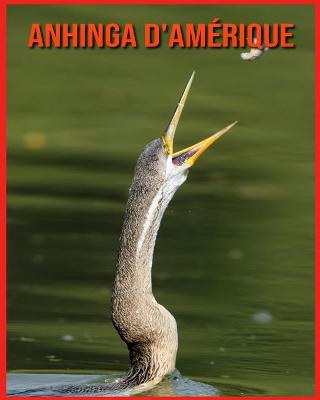 Book cover for Anhinga d'Amérique