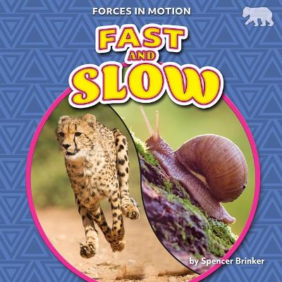 Book cover for Fast and Slow