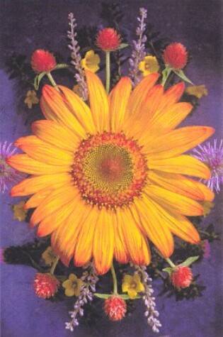 Cover of Sunflower on Purple