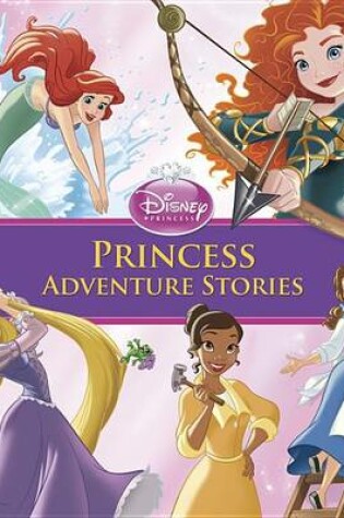 Cover of Princess Adventure Stories