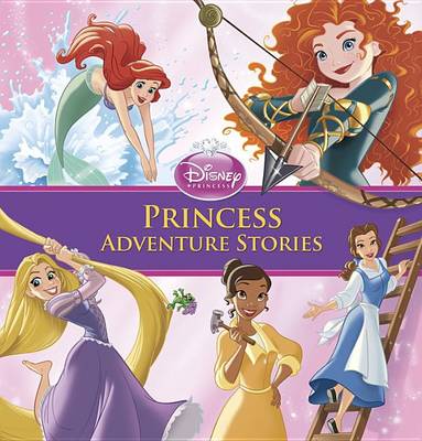 Book cover for Princess Adventure Stories