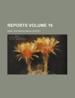 Book cover for Reports Volume 19