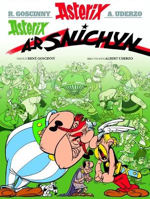 Book cover for Asterix a'r Snichyn