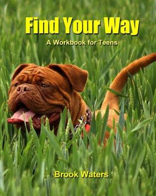 Book cover for Find Your Way