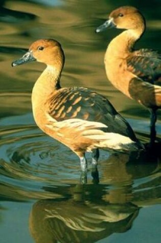 Cover of Fulvous Whistling Duck Journal (Dendrocygna Bicolor)