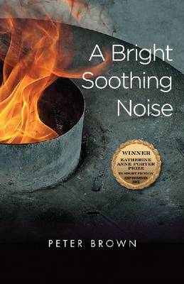 Book cover for A  Bright Soothing Noise