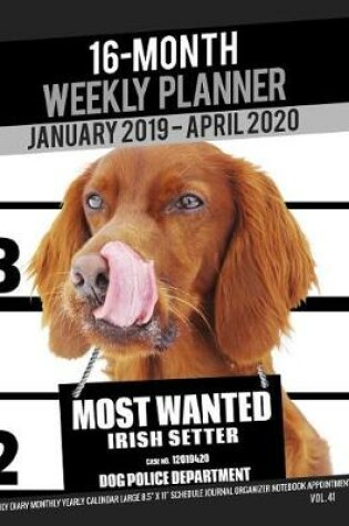 Cover of 16-Month January 2019- April 2020 Weekly Planner - Most Wanted Irish Setter