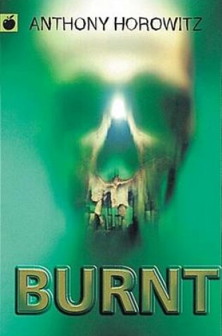 Cover of Burnt