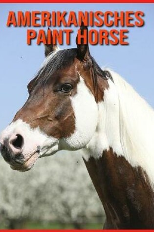 Cover of Amerikanisches Paint Horse