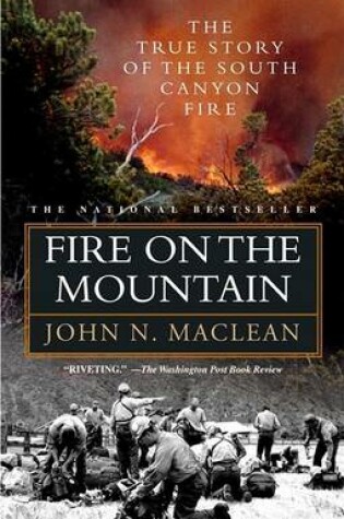 Cover of Fire on the Mountain