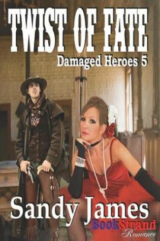 Cover of Twist of Fate [Damaged Heroes 5] (Bookstrand Publishing Romance)