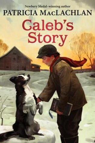 Cover of Caleb's Story