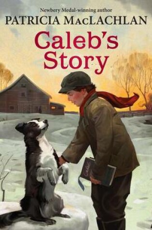 Cover of Caleb's Story