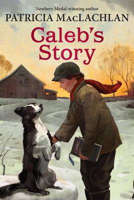 Book cover for Caleb's Story