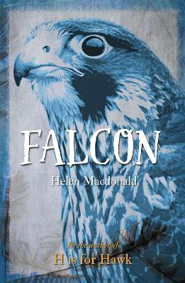 Book cover for Falcon