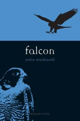 Cover of Falcon