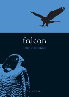 Book cover for Falcon