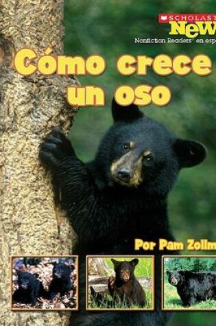 Cover of Como Crece Un Oso