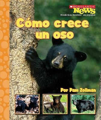 Cover of Como Crece Un Oso