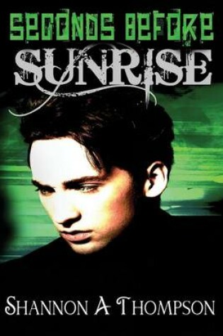Cover of Seconds Before Sunrise