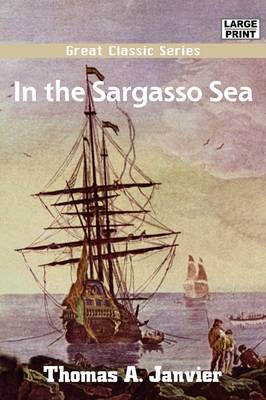 Book cover for In the Sargasso Sea -- A Novel