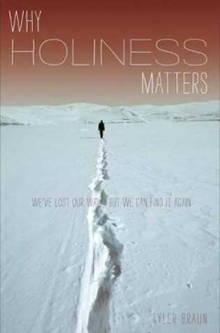 Cover of Why Holiness Matters