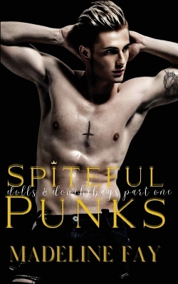 Book cover for Spiteful Punk